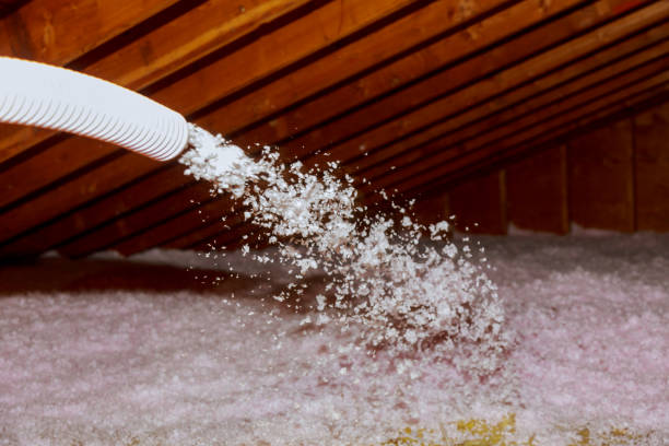 Best Geographic-Specific Insulation Services in Hemlock Farms, PA